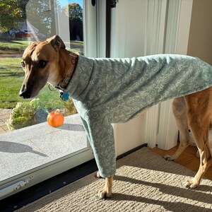 Sue added a photo of their purchase