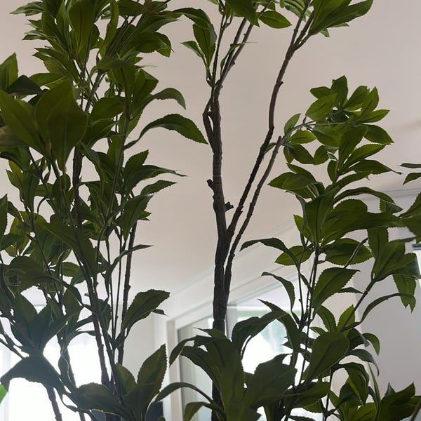Artificial Japanese Enkianthus Tree Faux - Etsy