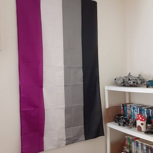 Polysexual Pride Flag Large Premium Quality Poly Flag 5ft X - Etsy UK
