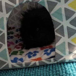 Lucy added a photo of their purchase