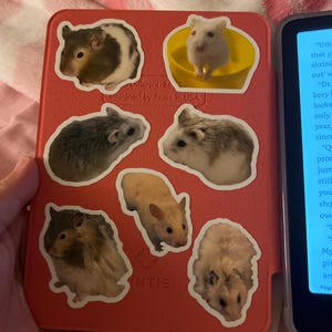 Stephanie added a photo of their purchase