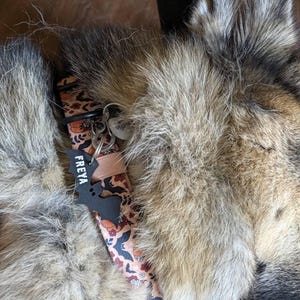 Amanda added a photo of their purchase