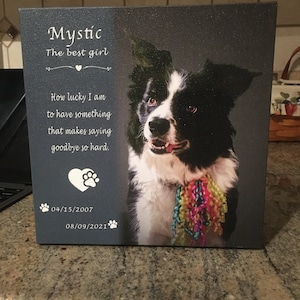 Lauren added a photo of their purchase