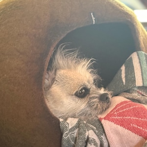 Kathleen added a photo of their purchase