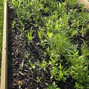 Darta added a photo of their purchase
