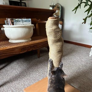 Marianne added a photo of their purchase