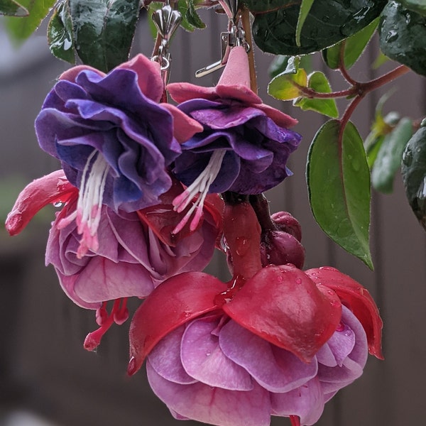 Fuchsia Earrings, Purple Flower Earrings, Dangle Fuchsia Flower Jewelry ...