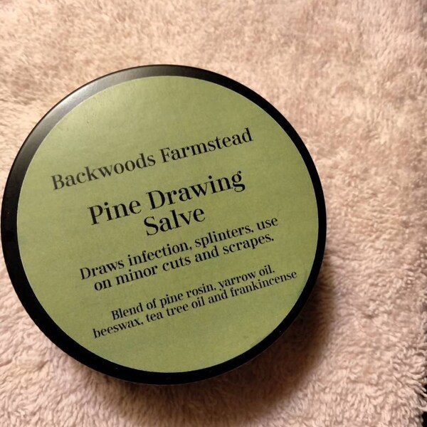 16 ounce on Stem White Pine Needle tea Maine Eastern white organic PINUS STROBUS