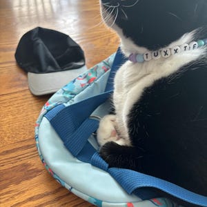 Haley さんが購入した商品の写真を追加しました