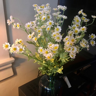 White Mini Mountain Daisy Bush Flower Home Decor Kitchen - Etsy