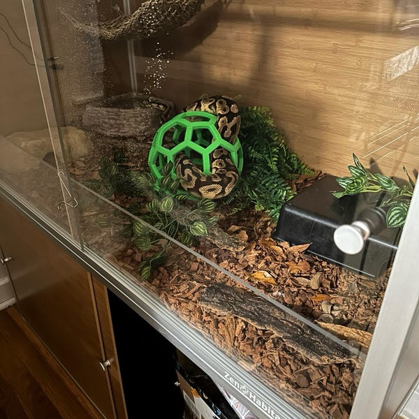 Photo inspiration: Gallery Detail: Calcium Dish For Leopard Geckos