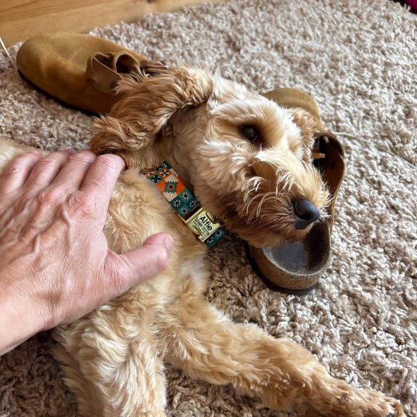 Personalized Dog Collar Pattern, Aztec Dog Collar Engraved, Southwest ...