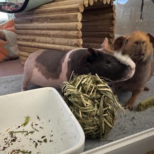 Mindy added a photo of their purchase