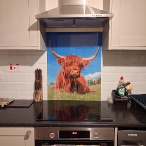 David added a photo of their purchase