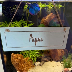 Samantha added a photo of their purchase