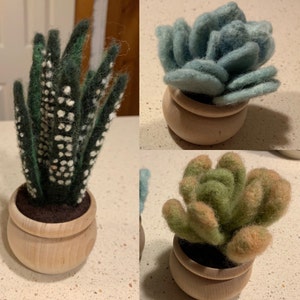 Laurel added a photo of their purchase