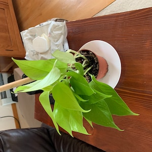 Tessa added a photo of their purchase