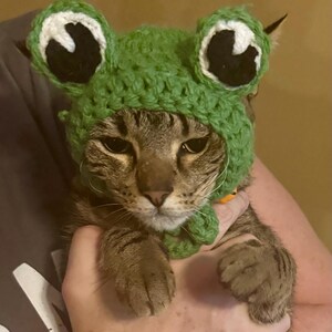 J*r様 CHANNEL H チャンネルエイチ h.naoto 猫耳帽子 レア Frog Hat for Cats, Funny Feline Frog Accessory / Costume, Frog Hat