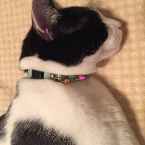 cat collar breakaway cat collar breakaway