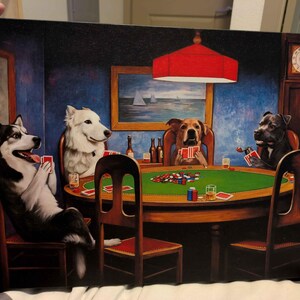 N. added a photo of their purchase