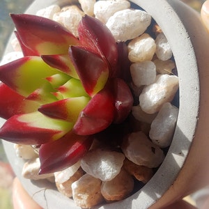 Tracey added a photo of their purchase