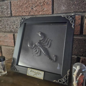Rory added a photo of their purchase