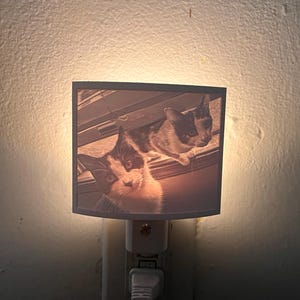 Celina さんが購入した商品の写真を追加しました
