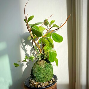 Comprador de Etsy ha añadido una foto de su compra