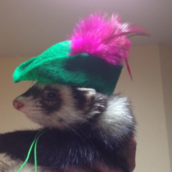 Customer photo of a pet with the Robin Hood Hat small pet Cat Dog Hedgehog Vodue