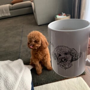 Momoko added a photo of their purchase