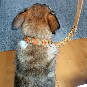Friederike added a photo of their purchase