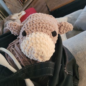 Kristi ha aggiunto una foto del proprio acquisto