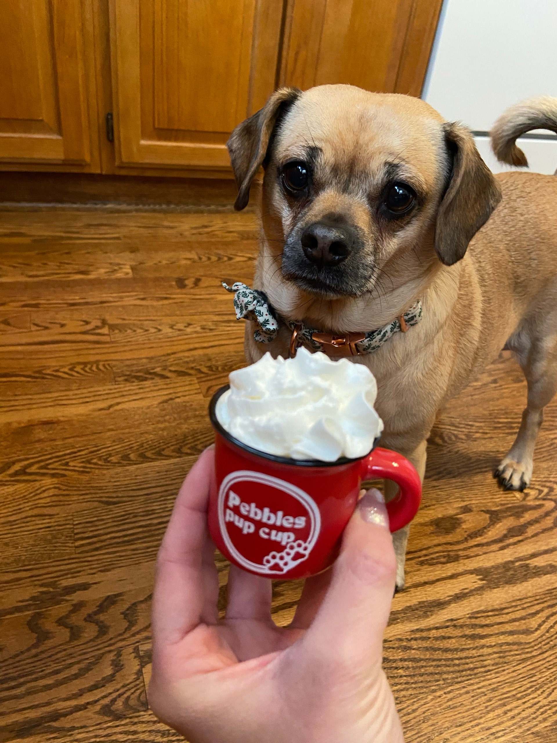 ❤️Buy 2 FREE SHIPPING❤️ Reusable Pup Cup | Custom Puppuccino Mug | Dog Mom Gift | 2oz Personalized Pup Cup Mug