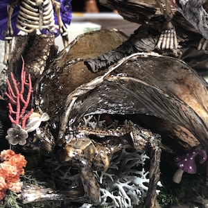 Cathy ha aggiunto una foto del proprio acquisto