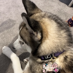 Crystal ha añadido una foto de su compra