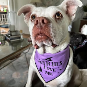 Angela added a photo of their purchase