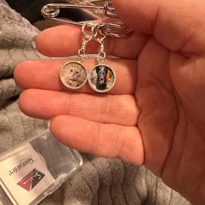 Molly added a photo of their purchase