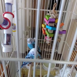 Christine さんが購入した商品の写真を追加しました