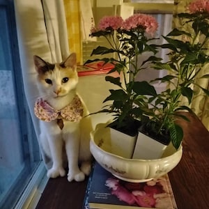 Deena added a photo of their purchase