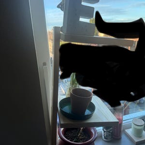 emma added a photo of their purchase