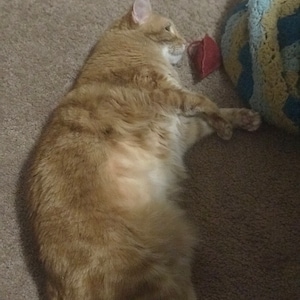 Cuenta inactiva ha añadido una foto de su compra