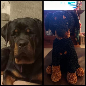 Donna added a photo of their purchase