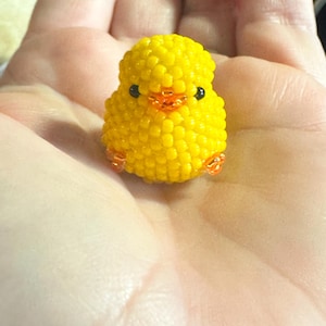 Brooksie added a photo of their purchase