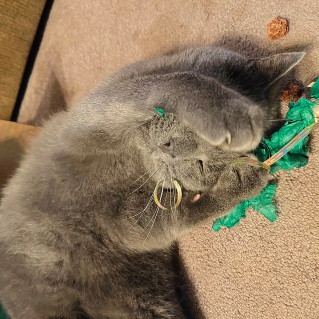 Meowy Janes Getrocknete Silvervine Gallfrüchte – Natürliches Katzenspielzeug, Alternative Zu Katzenminze