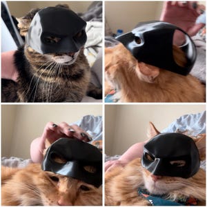 Sarah added a photo of their purchase