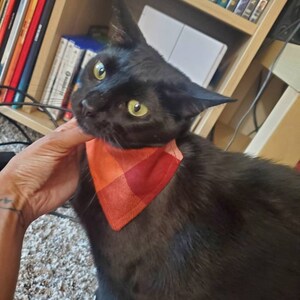 Jewel added a photo of their purchase