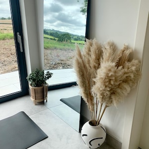 Tracey added a photo of their purchase