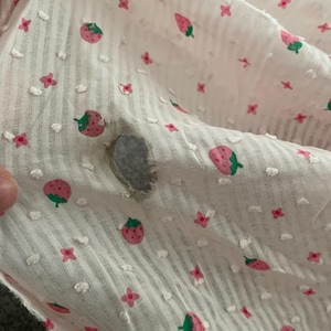 Etsy buyer added a photo of their purchase