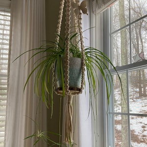 Elaine added a photo of their purchase