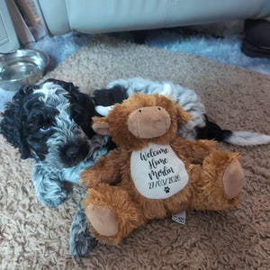 Ruth added a photo of their purchase